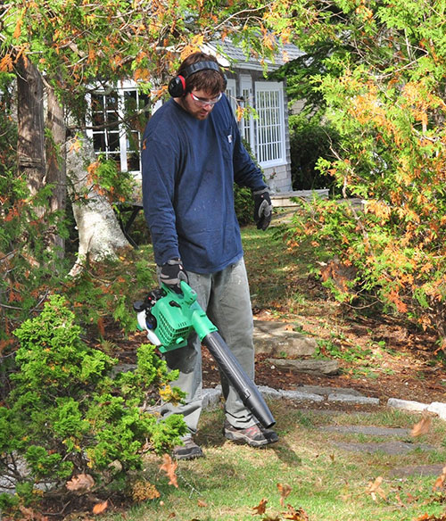 Hitachi RB24EAP Handheld Leaf Blower