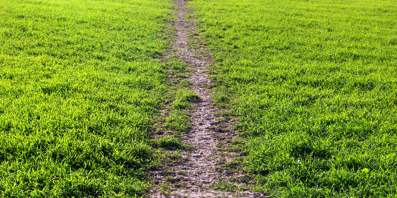 How to Fix Bald Spots in Your Lawn