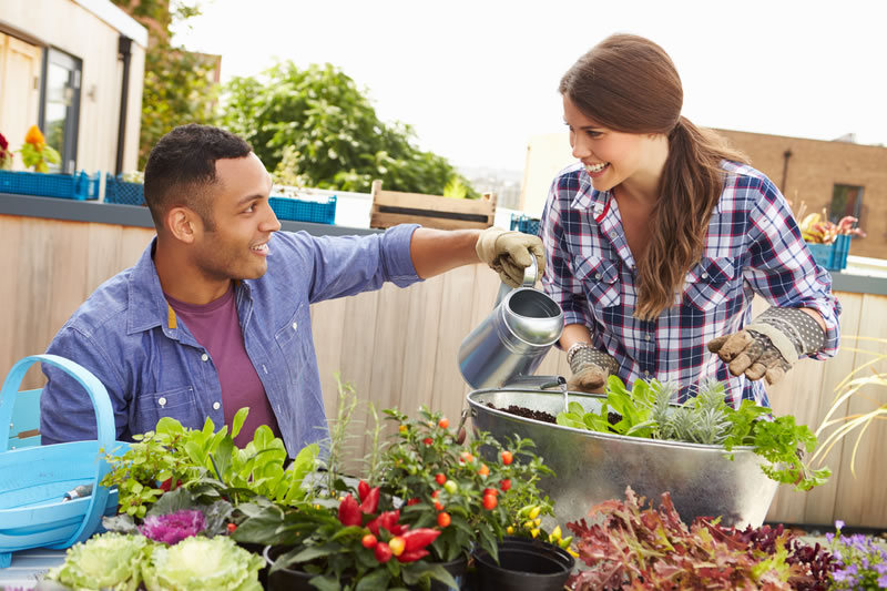 Natural Gardening Tips for Beginners