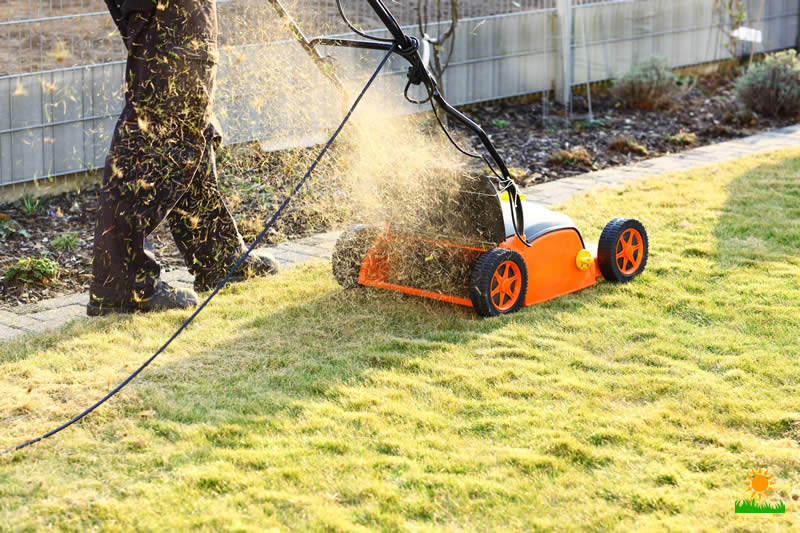 Scarifier removes dead moss and other debris grass cuttings