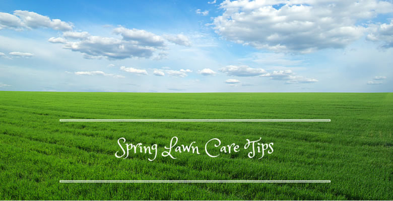 spring lawn care and maintenance tips