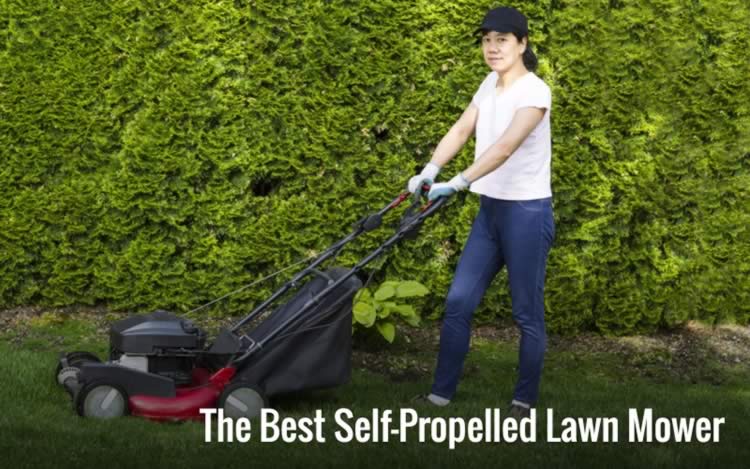 Best Self-Propelled Lawn Mower Buying Guide