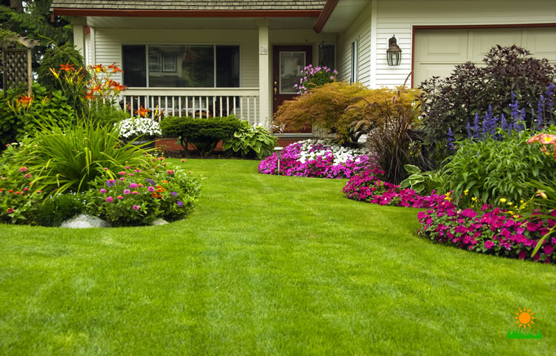 All Year Round Lawn Care