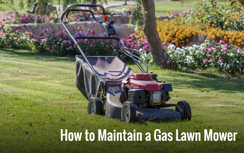 How to Maintain a Gas Lawn Mower all reasons