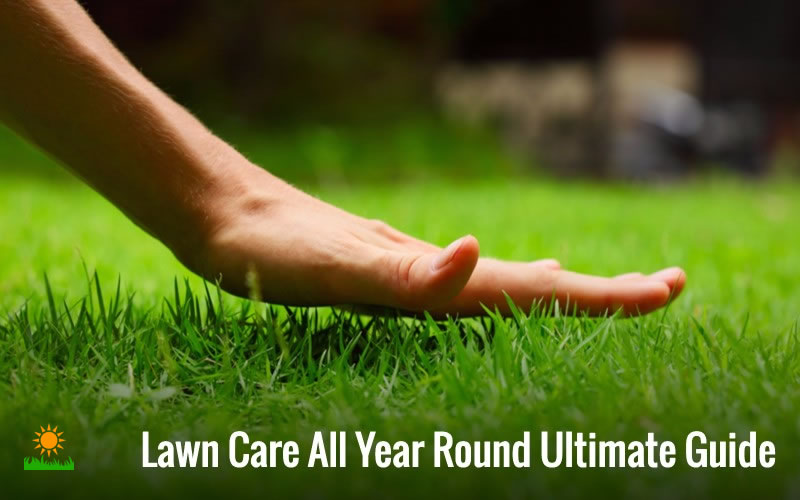 Lawn Care All Year Round Ultimate Guide