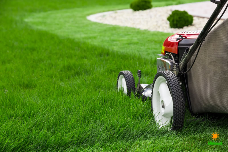 Lawn Mowers to Make Your Life Easier