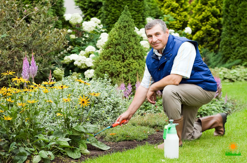 how gardeners protect