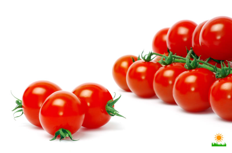 cherry tomatoes