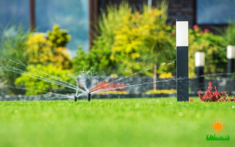 10 Things You Should Know About Watering Your Lawn