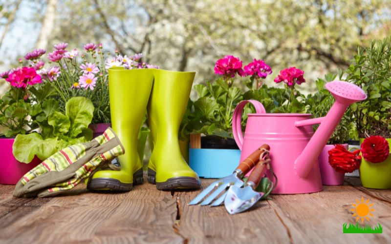 Ultimate Garden Tools Buying Guide