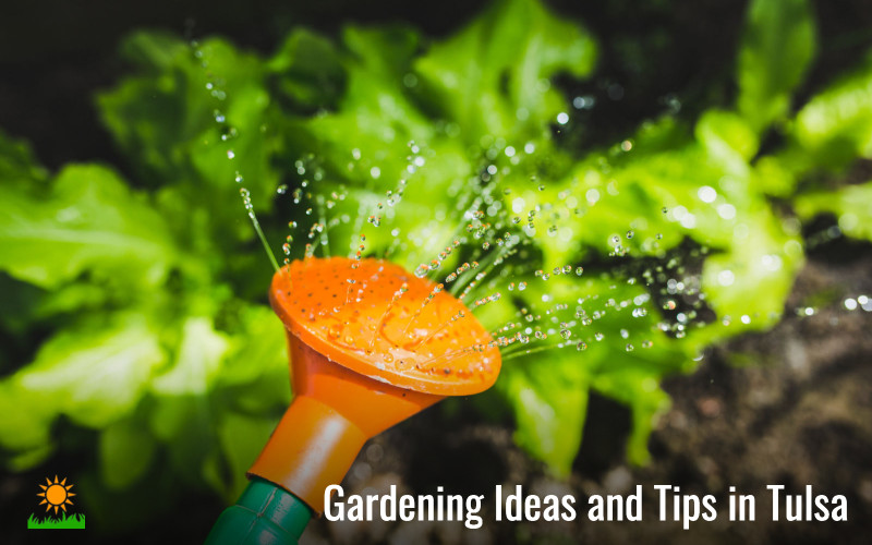 gardening ideas in Tulsa