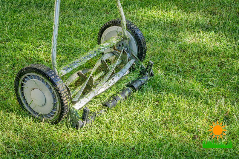 Hand Push Lawn Mower