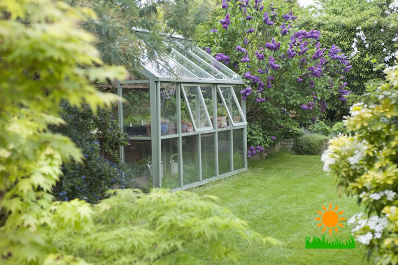 Things you must know while Building a Greenhouse in Backyard Blog